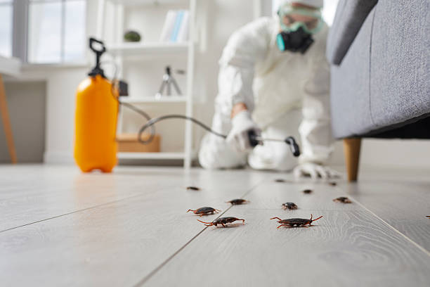 Commercial Kitchen Cockroach Control in Niverville